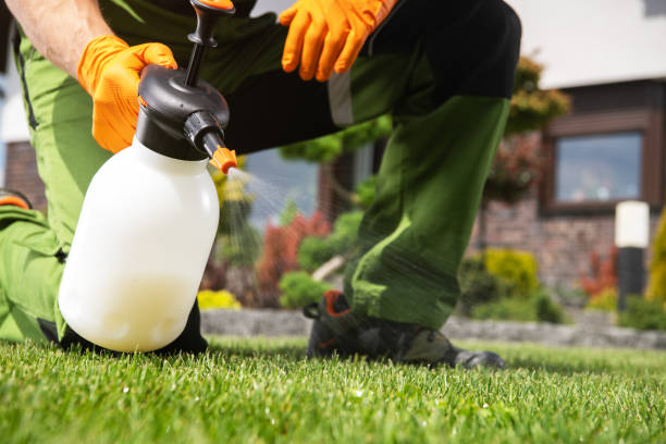Best Flea Control Services  in Williston Highlands, FL