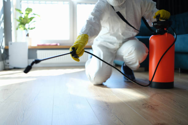 Best Termite Control Services  in Williston Highlands, FL