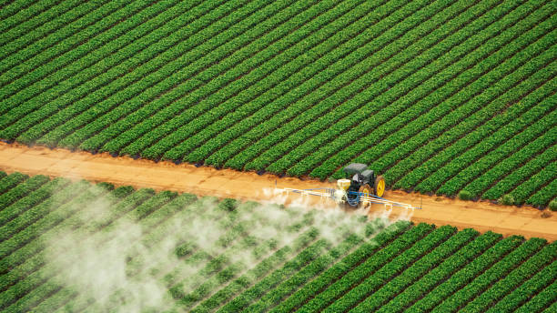 Professional Pest Control in Williston Highlands, FL