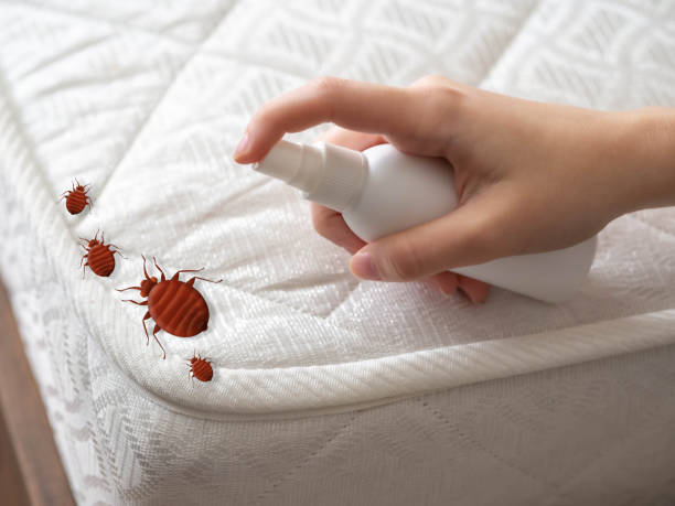 Best Bed Bug Extermination  in Williston Highlands, FL