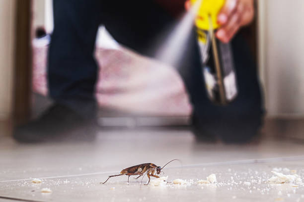 Best Pest Control for Businesses  in Williston Highlands, FL