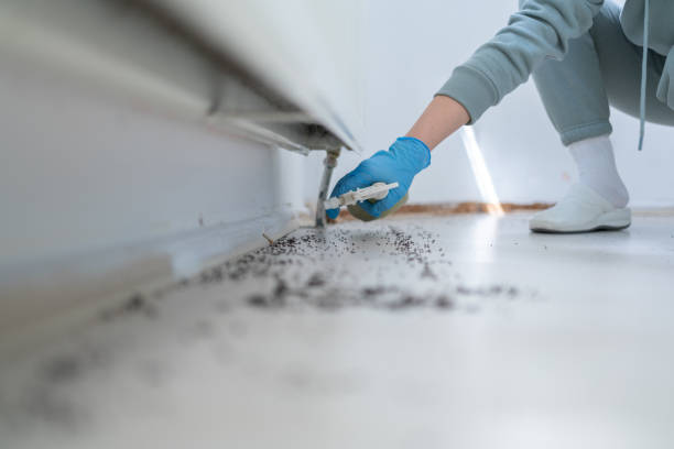 Best Affordable Pest Control Services  in Williston Highlands, FL
